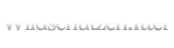 InsightFX